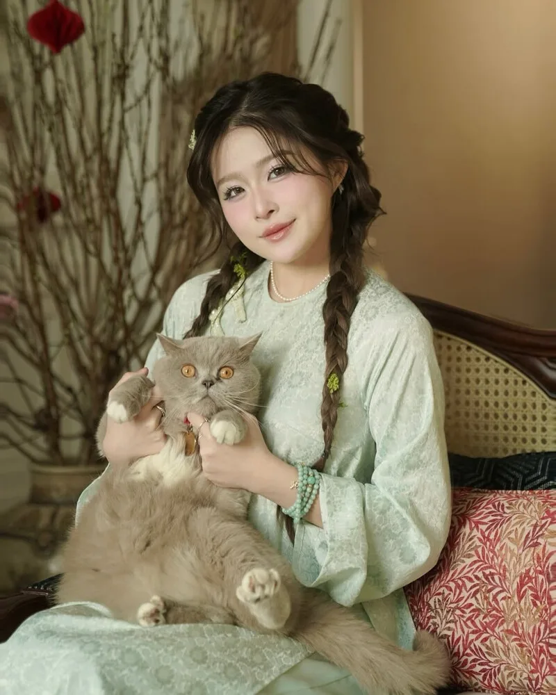 Mèo cảnh phù hợp với lối sống hiện đại, đặc biệt với người sống trong căn hộ và muốn có thú cưng đồng hành.
